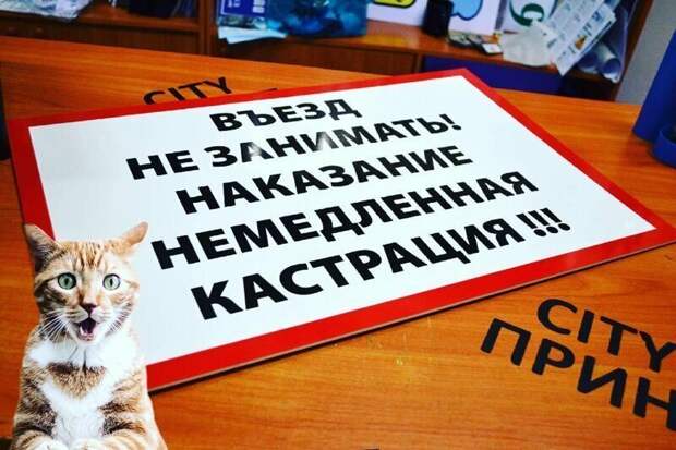 Опасно Опасно автомир, автоприкол, машины не ставить, надписи, прикол дня, прикольные таблички, таблички