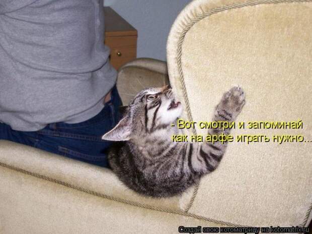 Мысли вслух :)