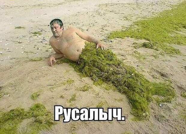 Смешные картинки с надписями со смыслом (11 фото) Смешные картинки с надписями со смыслом (11 фото)