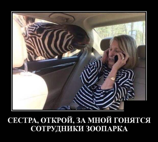 Демотиваторы (30 фото)