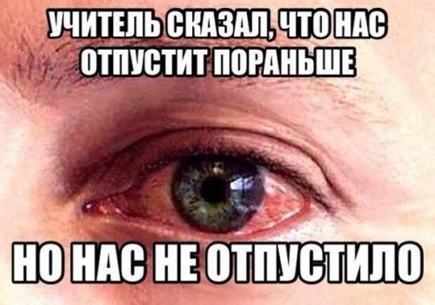 Анекдоты в понедельник утром (13 шт)