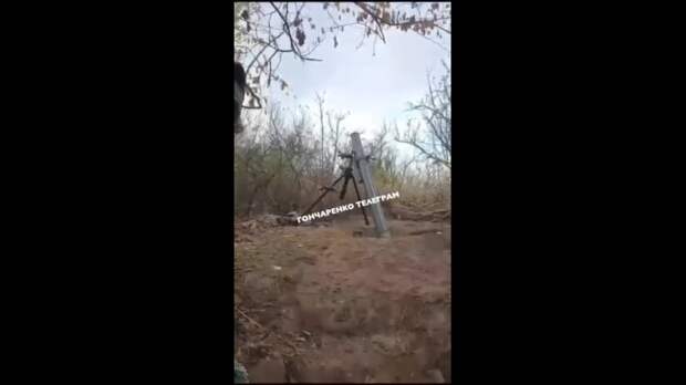Video: VivaCut_video_1732653197131_HD.mp4