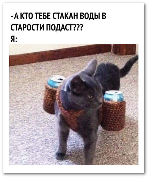 изображение: - А кто тебе стакан воды в старости подаст? #Котоматрицы