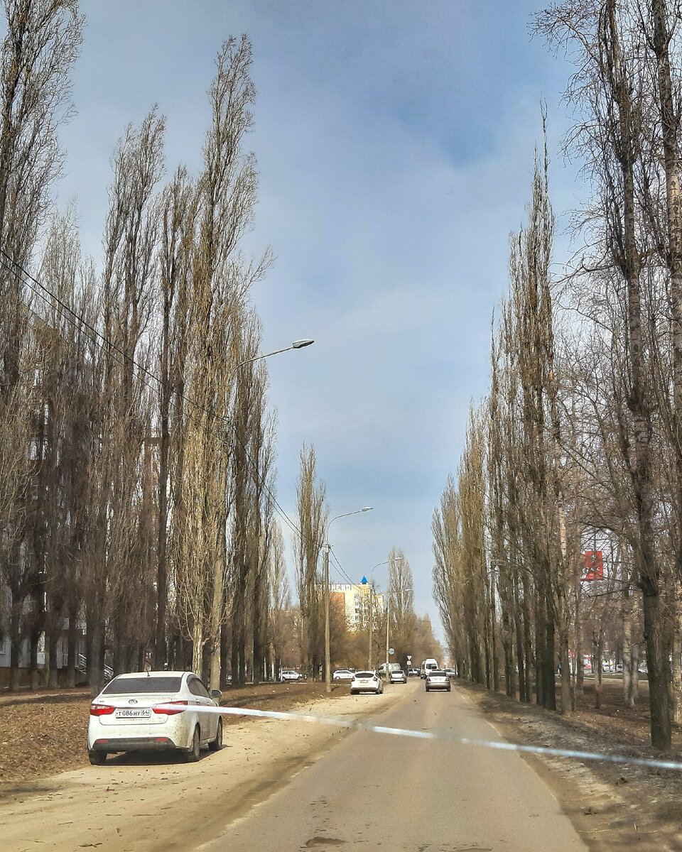 Переезд-многоходовочка. Из Хабаровска до Крыма за 2 недели. С 2мя котами.