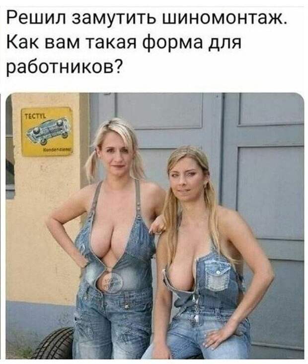 Смешные и познавательные картинки