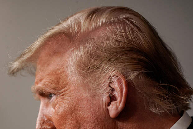 Trump-Profile