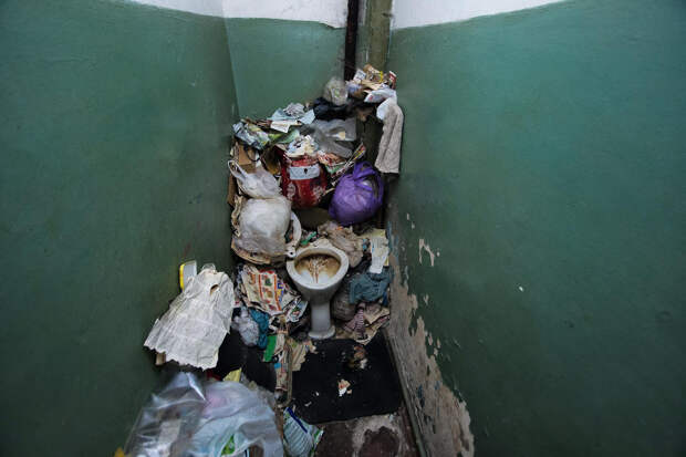 В России захотели в 10 раз ужесточить штраф за антисанитарию в квартирах