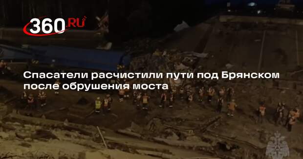 Железнодорожные пути в Выгоничском районе Брянской области полностью расчистили