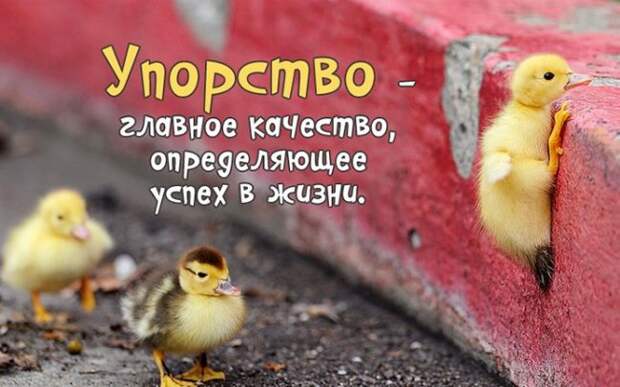 Настроение, мысли