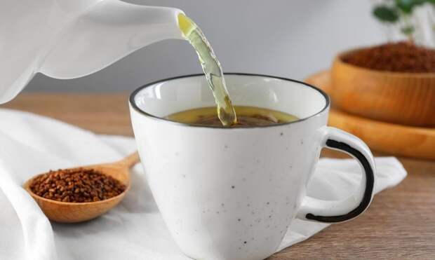Польза и вред гречишного чая: стоит ли заменять им привычные черный и зеленый