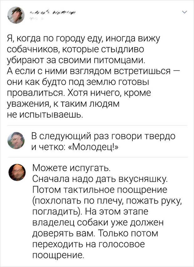 15 остроумных комментаторов из сети, которые никогда не упустят повода вставить свое меткое словцо