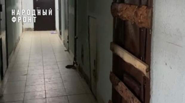 Дом на улице Спекова / Фото: 