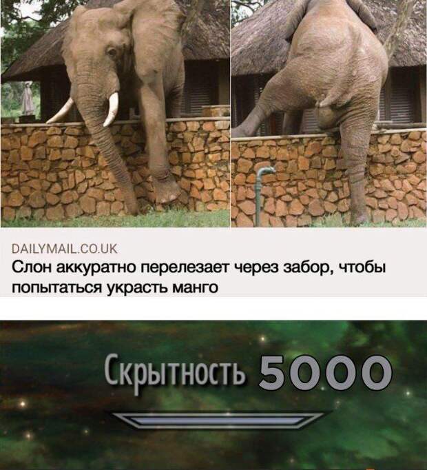 203560_27_trinixy_ru.jpg