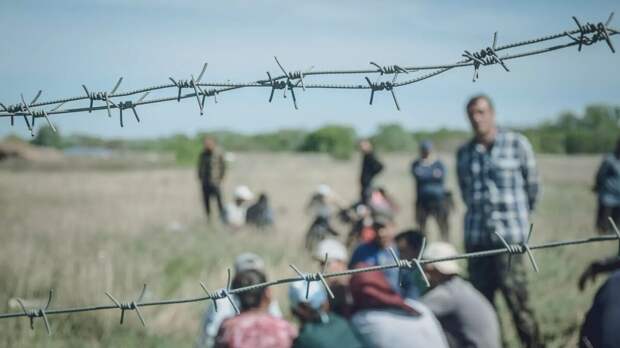 Они против СВО. Тюмень взялась за узбекских студентов, страдающих из-за политиков