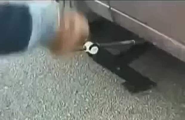 Video: Видео от Донецкая группа новостей|Донецк.ДНР