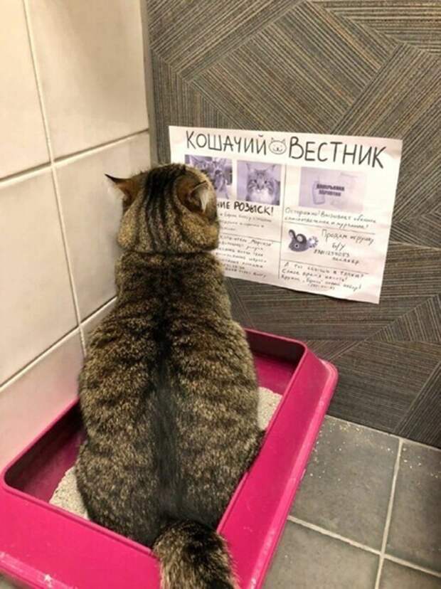 23 фото, глядя на которые, можно сказать: бывает же такое!
