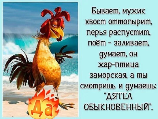 Ремонт – это когда сидишь в туалете и читаешь 10-литровую канистру грунтовки