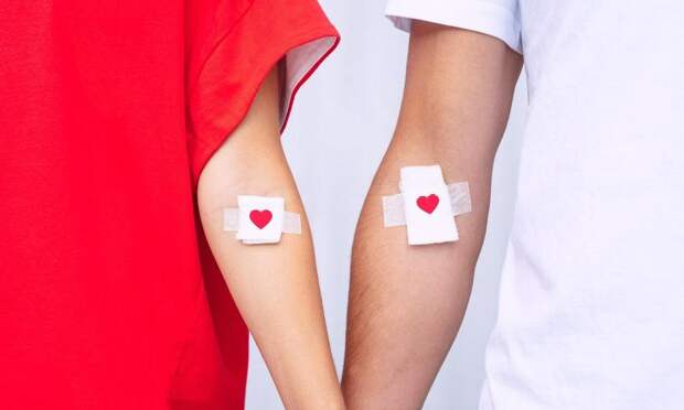 Как стать донором крови: инструкция