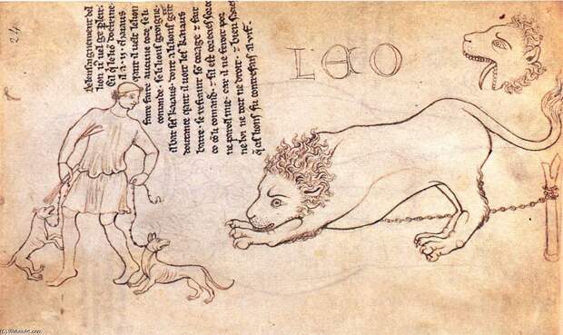 Villard-De-Honnecourt-Lion-drawn-from-life-2-.jpg Villard-De-Honnecourt-Lion-drawn-from-life-2-.jpg