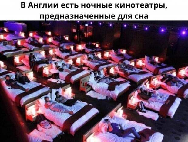 Смешные и познавательные картинки