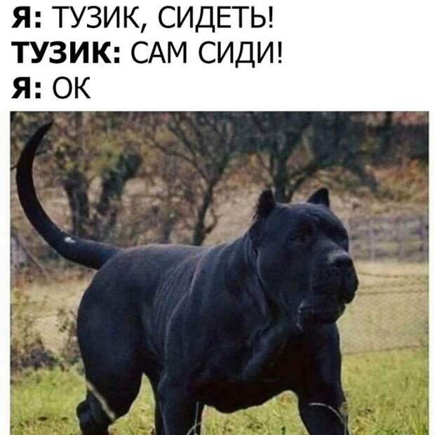 Веселые картинки с надписями для настроения (11 фото) Веселые картинки с надписями для настроения (11 фото)