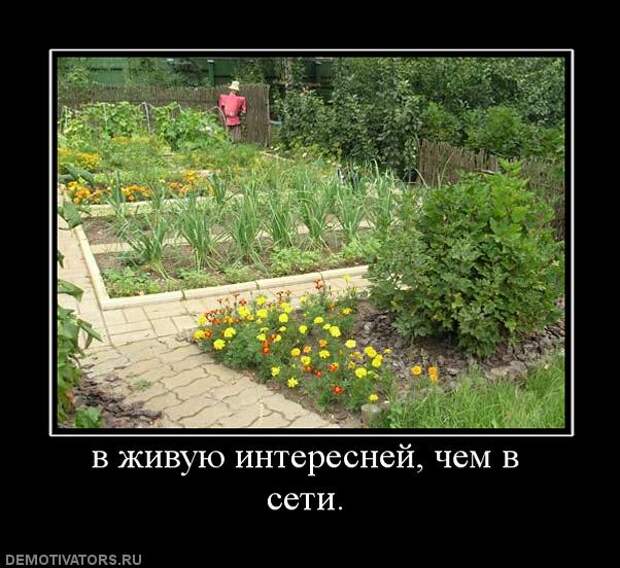 74400007_large_198456_vzhivuyuinteresnejchemvseti (602x552, 65Kb)