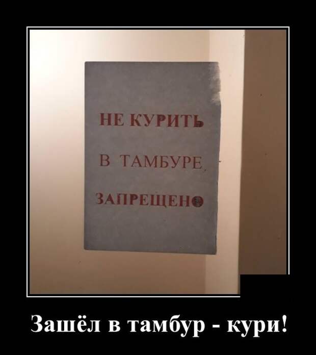 Демотиваторы (20 фото)