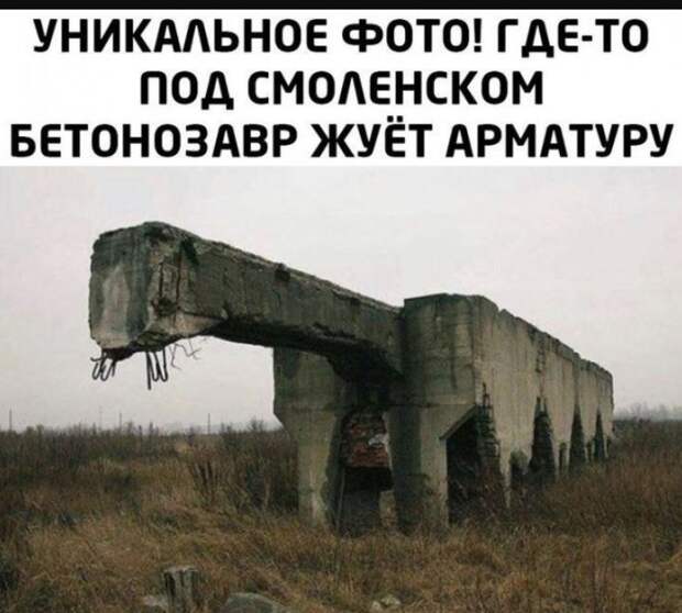 картинки с приколами для поднятия настроения (11)
