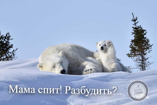 Мама