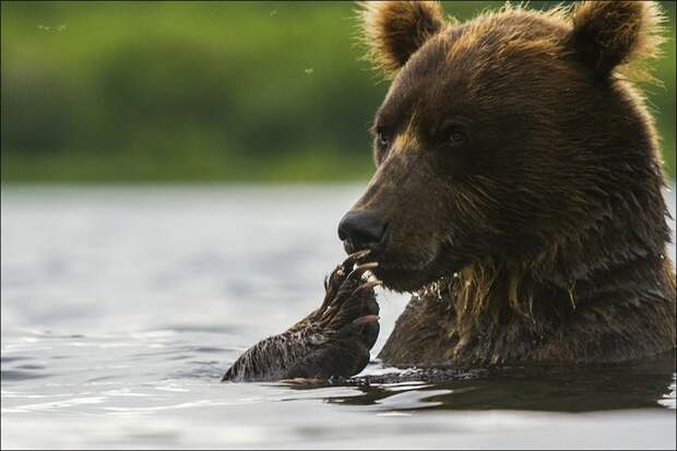 фото приколы