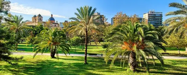 Сады Турии - центральный парк Валенсии