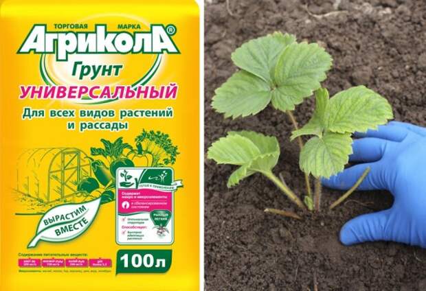 грунт