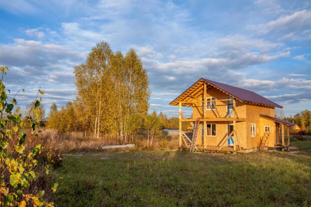 Садовод Туманов объяснил, как подготовить деревья и растения к весне