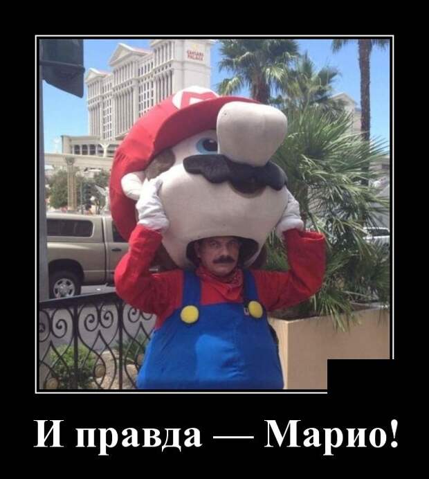 Демотиваторы (30 фото)