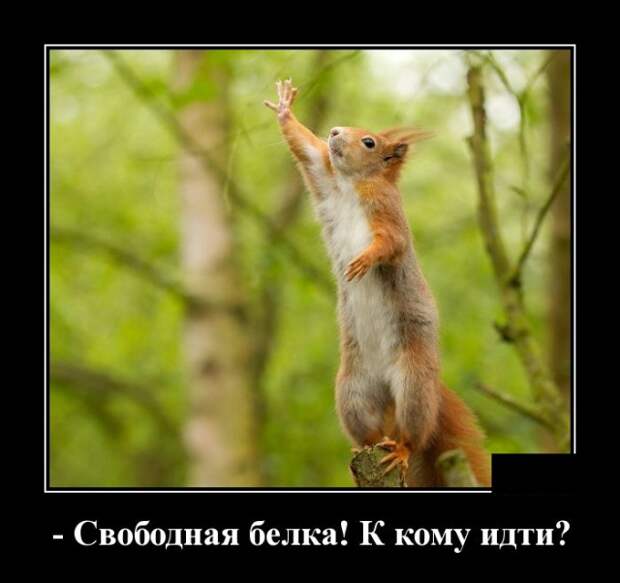 Демотиваторы смешные