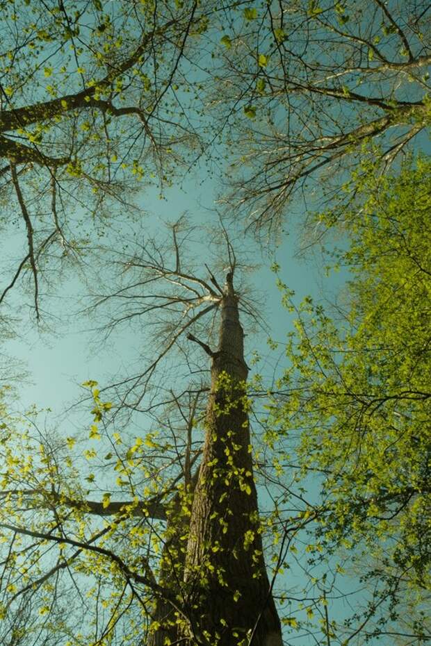 Синоптики прогнозируют теплую погоду в пасхальные выходные