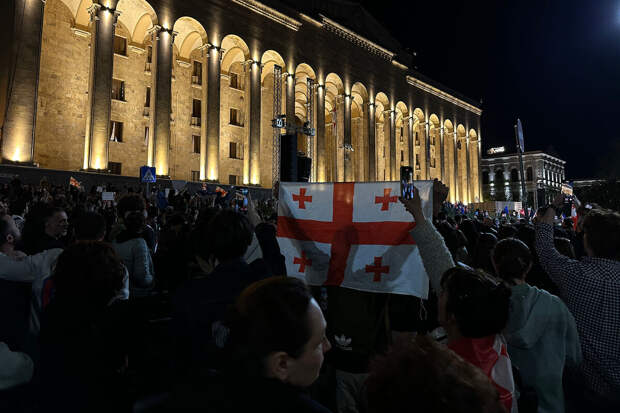 ТАСС: у здания грузинского парламента произошла драка полиции с митингующими