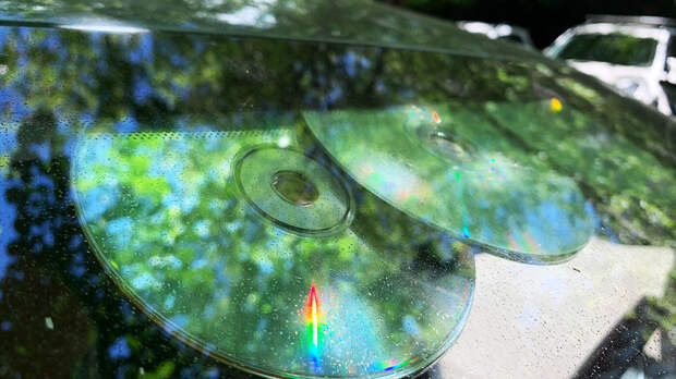Зачем водители стали класть CD-диски под лобовое стекло, и спасают ли они от штрафов с камер