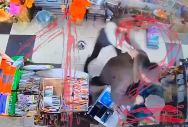 Россиянин пронзил пенсионерку ножом в продуктовом магазине и попал на видео