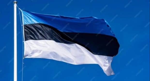 Эстония осознала угрозу войны с Россией, а президент Карис призвал к диалогу