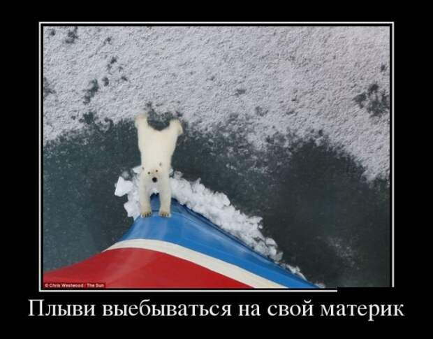 Демотиваторы (30 фото)