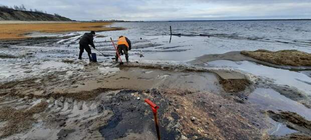 Экологическая катастрофа на Камчатке и новый разлив нефти на Таймыре