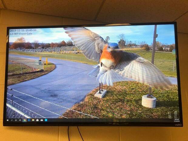 kartinok-veselyh-interesnyh-kartinki-smeshnye-kartinki-fotoprikoly kartinok-veselyh-interesnyh-kartinki-smeshnye-kartinki-fotoprikoly