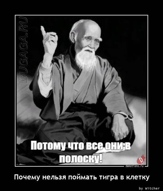Демотиваторов пост: «Скатертью дорога!» (18 фото)