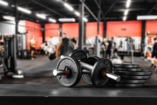 Эксперт Кляцкий подтвердил устойчивый интерес россиян к фитнесу в начале года