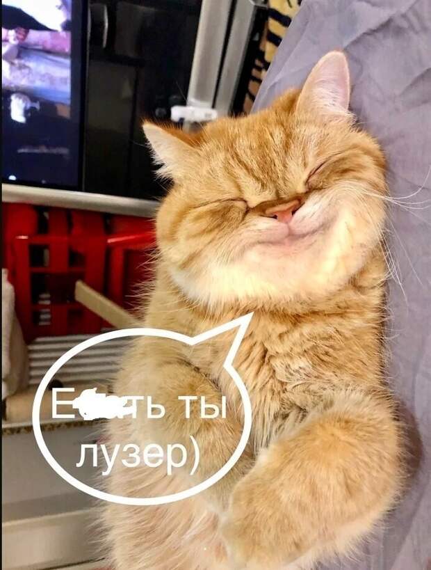 Как мы выходили с каникул на работу Как мы выходили с каникул на работу