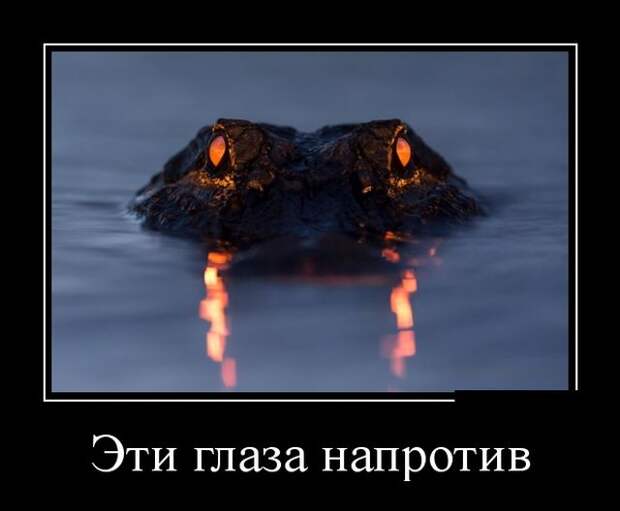 Демотиваторы (30 фото)