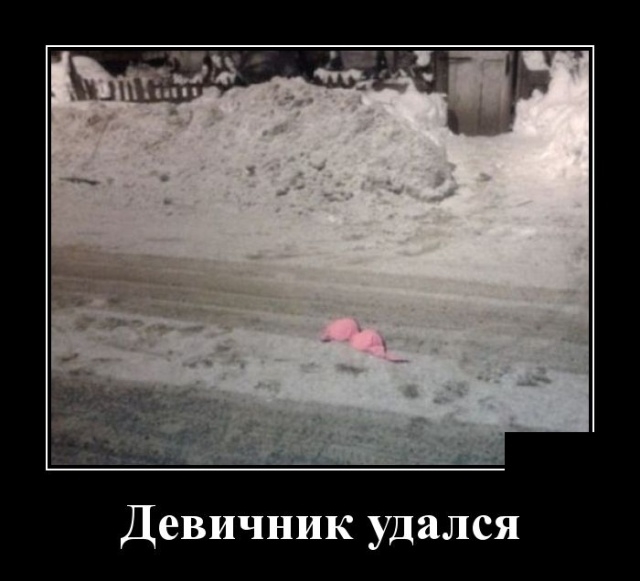 Демотиваторы