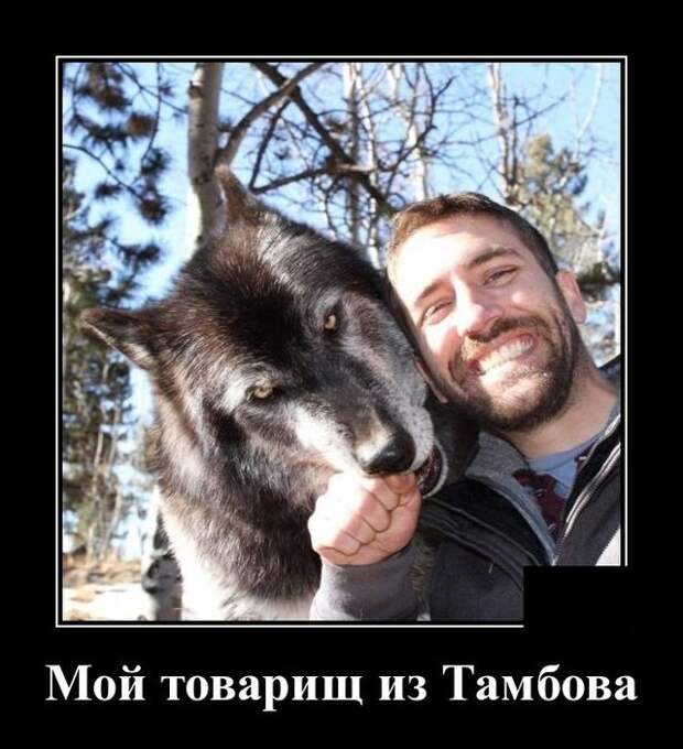 www.vsyako.net