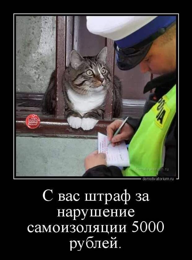 Прикольные демотиваторы с надписями. Подборка chert-poberi-dem-chert-poberi-dem-14080424072020-10 картинка chert-poberi-dem-14080424072020-10